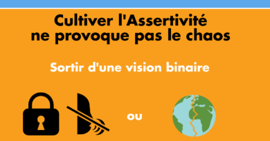 infographie-assertivite laqvt.fr Qualité de Vie au Travail QVT assertivité
